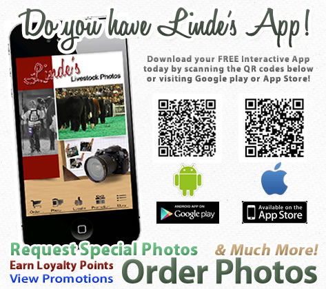 LindesApp_withQRcodes