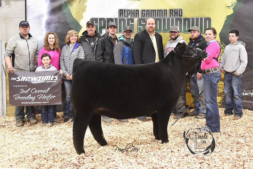 2016 ISU Spring Showdown 3rd Overall Heifer Champion Commercial exhibited by Brooklyn Curtin PPW3422