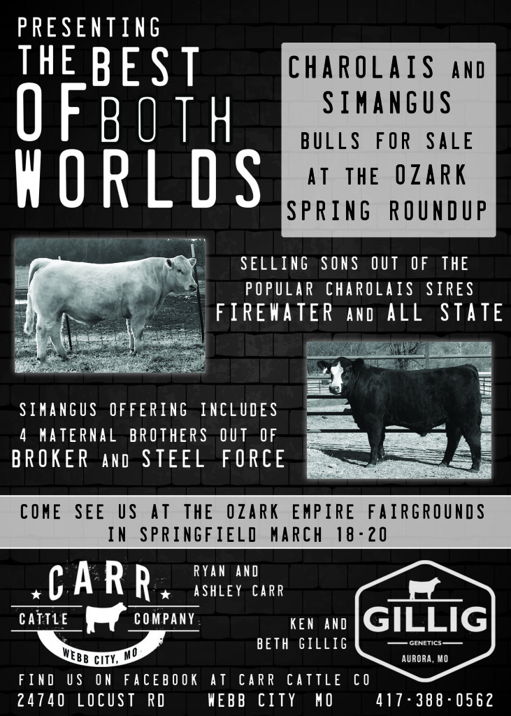 Carr Cattle and Gillig Ad