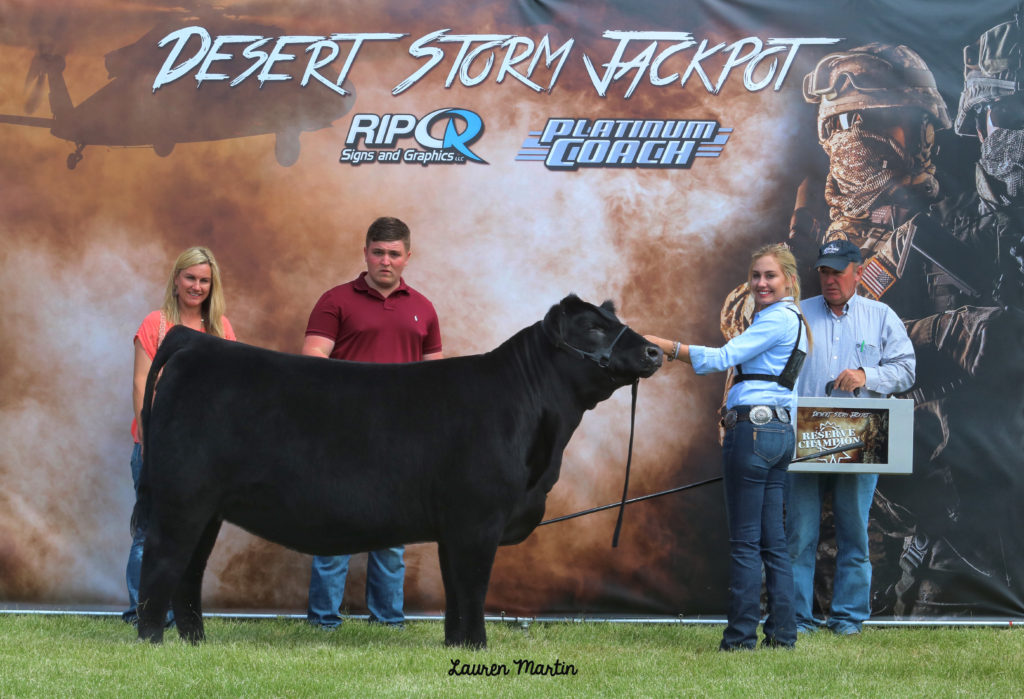 Desert Storm Res. Champ. Female Ring B