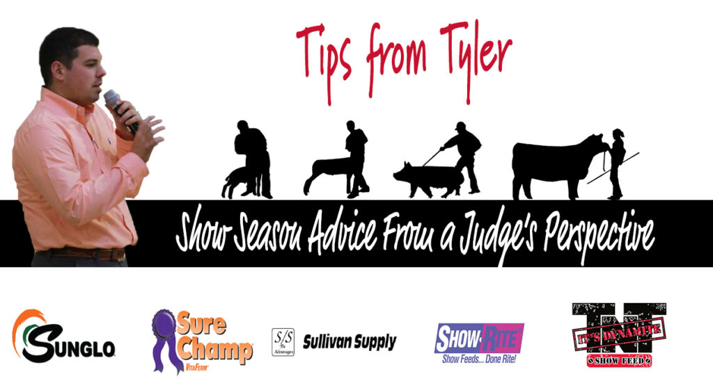 Show-Season-Advice-from-a-Judges-Perspective