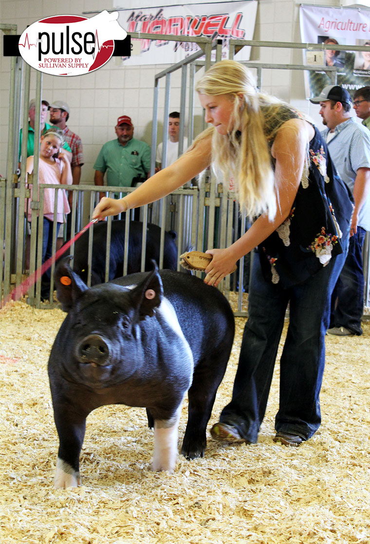 Michigan Livestock Expo Market Swine Results Sullivan Supply, Inc.