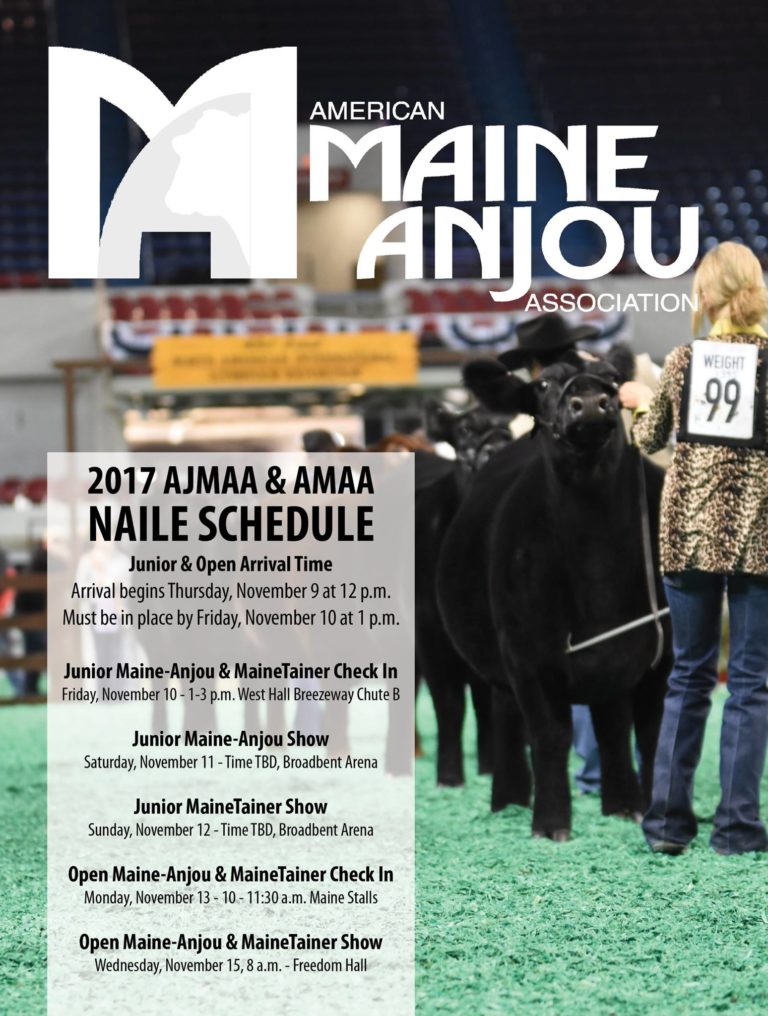 American MaineAnjou Association NAILE Schedule The Pulse