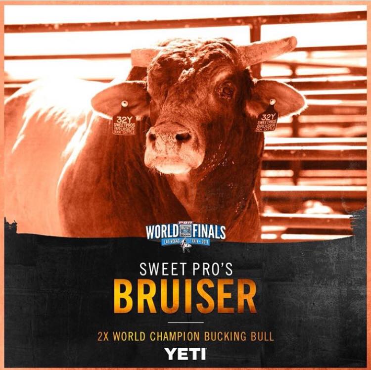 PBR 2017 Bull of The Year Sweet Pro's Bruiser 1:20 Scale Bull Riding 