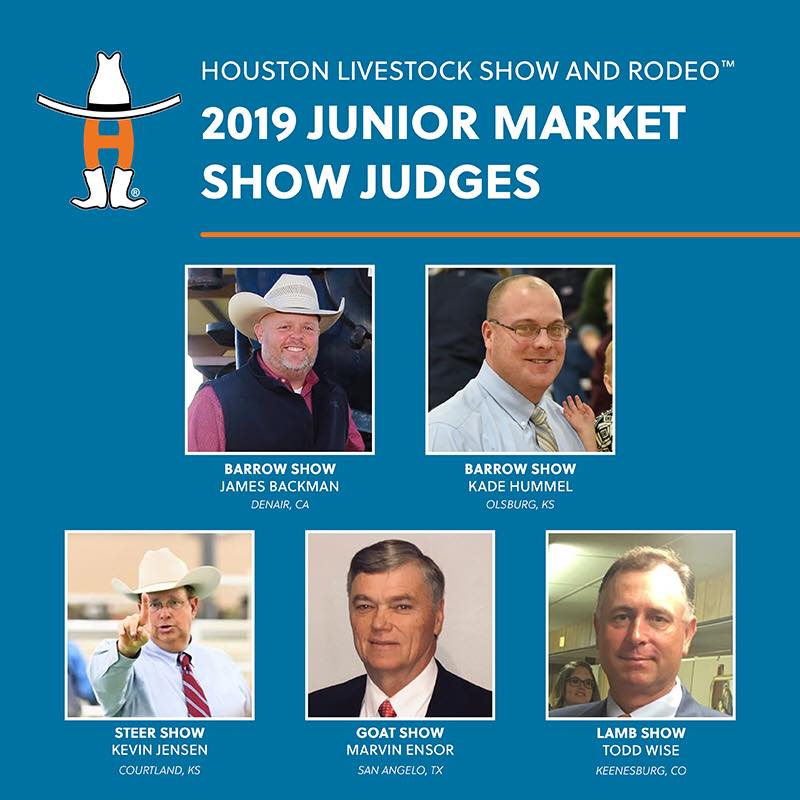 Image result for Houston  livestock show 2019