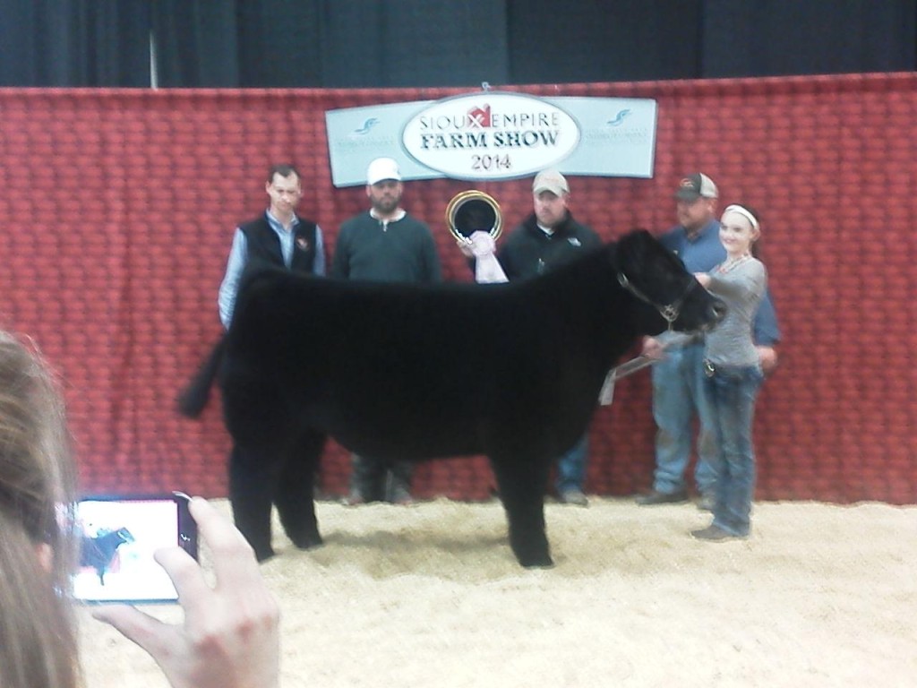 sioux falls - res steer
