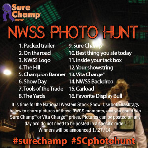 surechamp-photo-contest