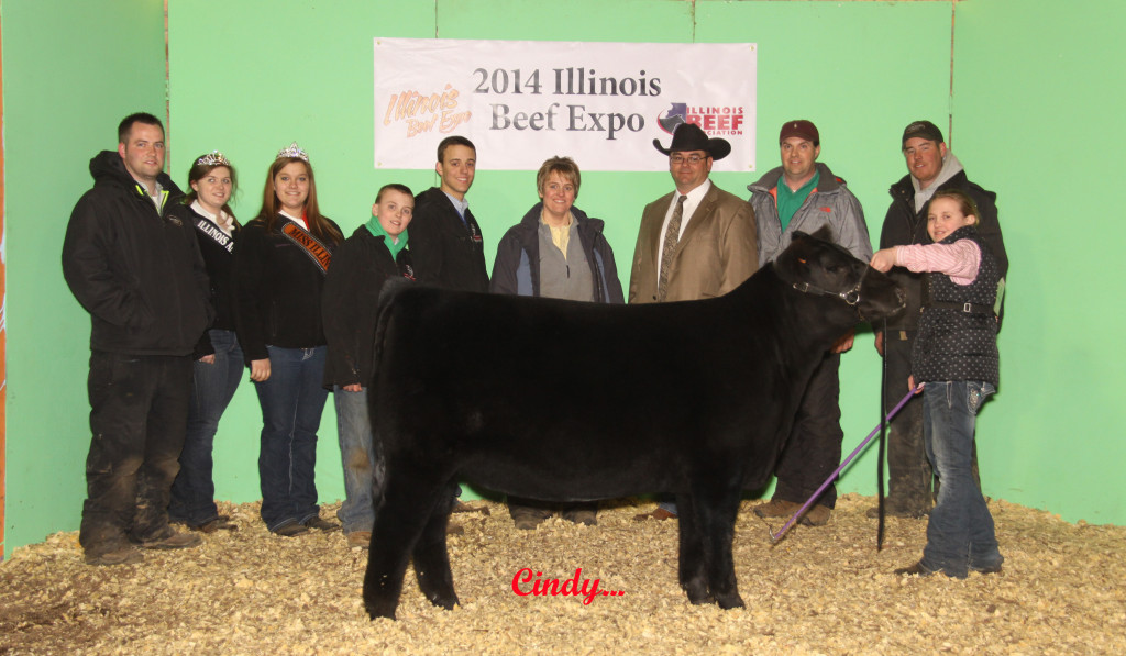 10 5TH OVERALL HEIFER, RES CH ANGUS, LIZZIE SCHAFER