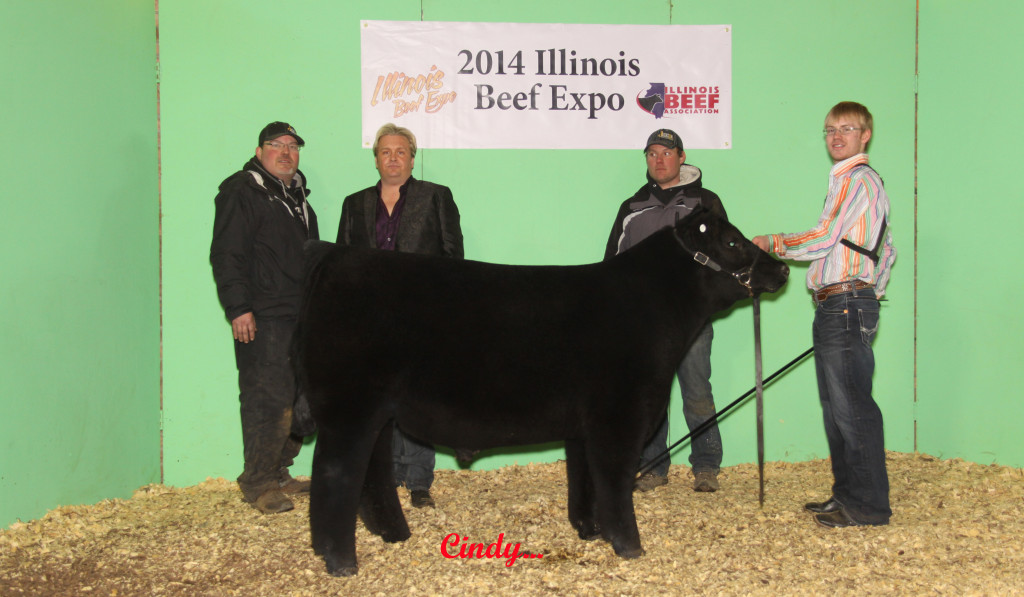 5 5TH OVERALL STEER, RES CH XBRED, LUCAS WISNEFSKI