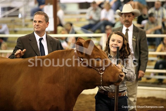 San Antonio Steer Show Hot Shots | The Pulse