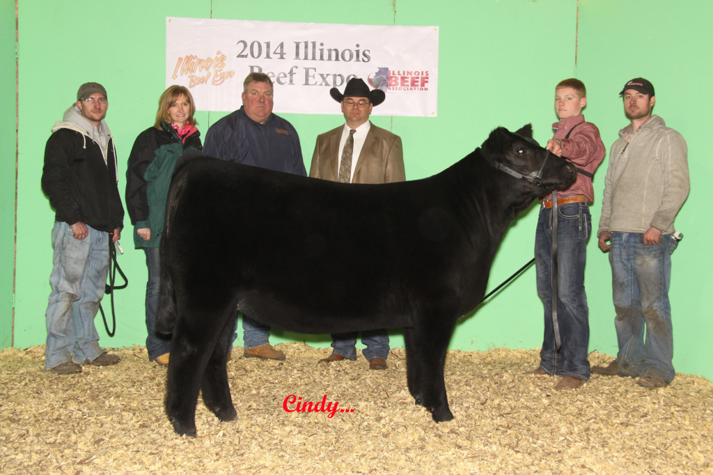 8 3RD OVERALL HEIFER, CH CHI, COLE WHISMAN