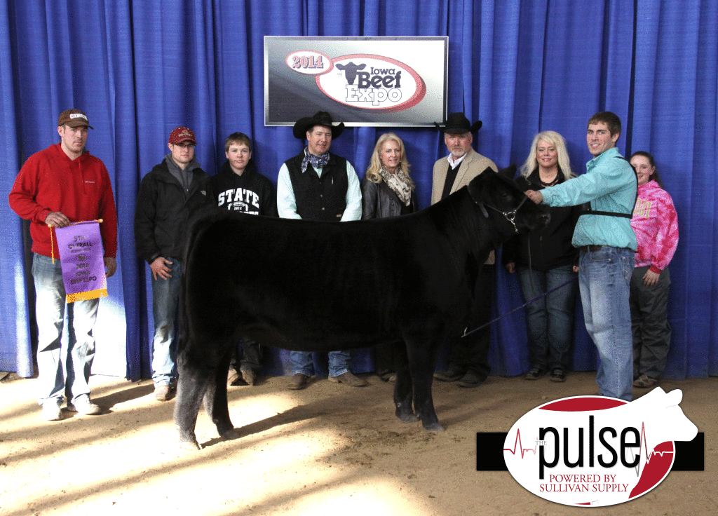 Fifth_Overall_Heifer_BD