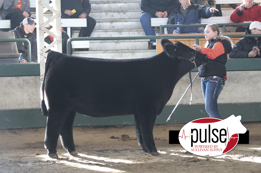 Fifth_Overall_Steer
