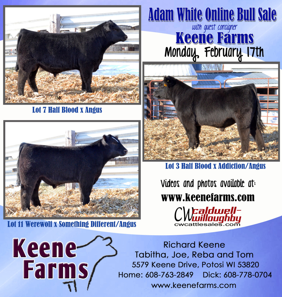 KeeneFarms Bull Ad - Iowa 2014
