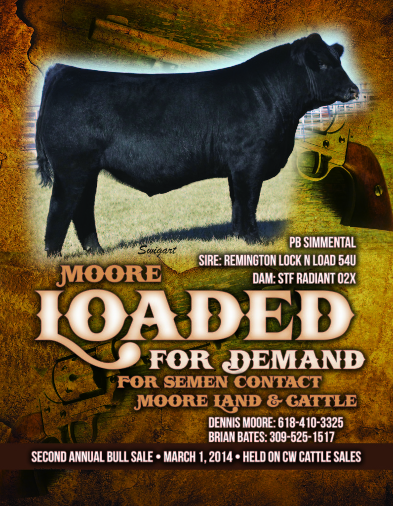 Moore-Feb2014-Loaded-DP3