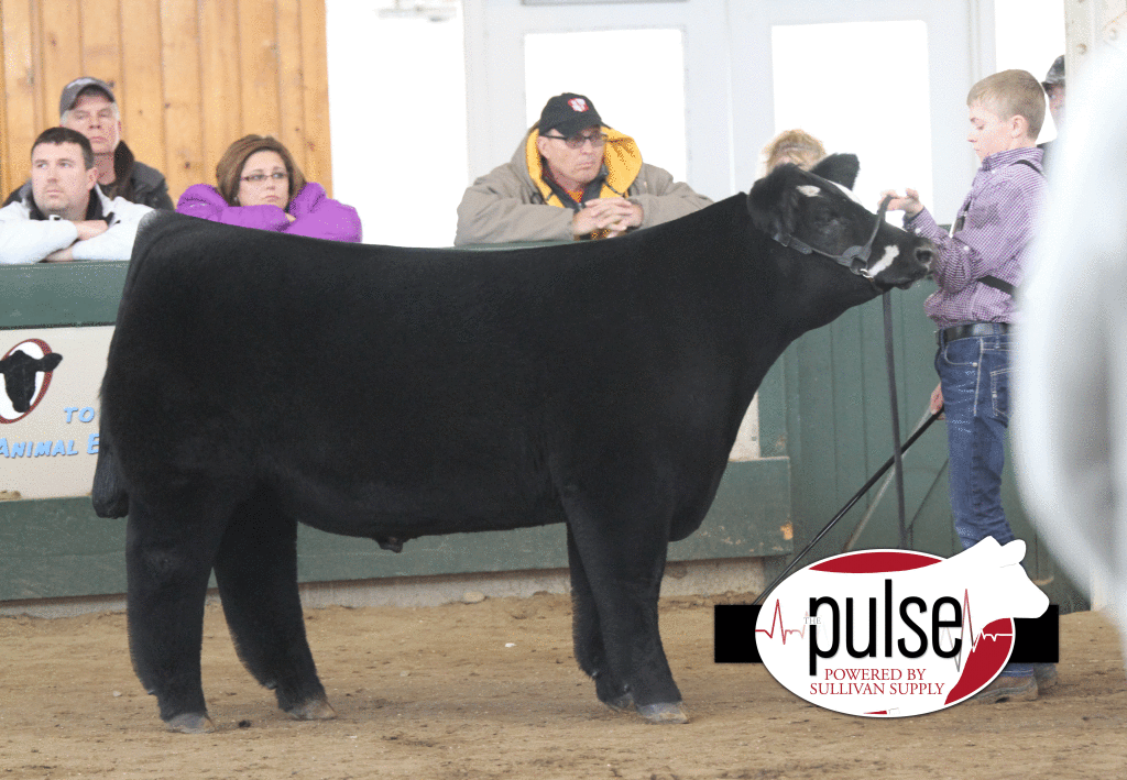 Reserve_Overall_Steer