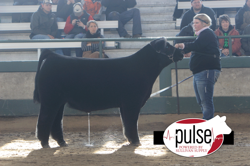 Third_Overall_Steer
