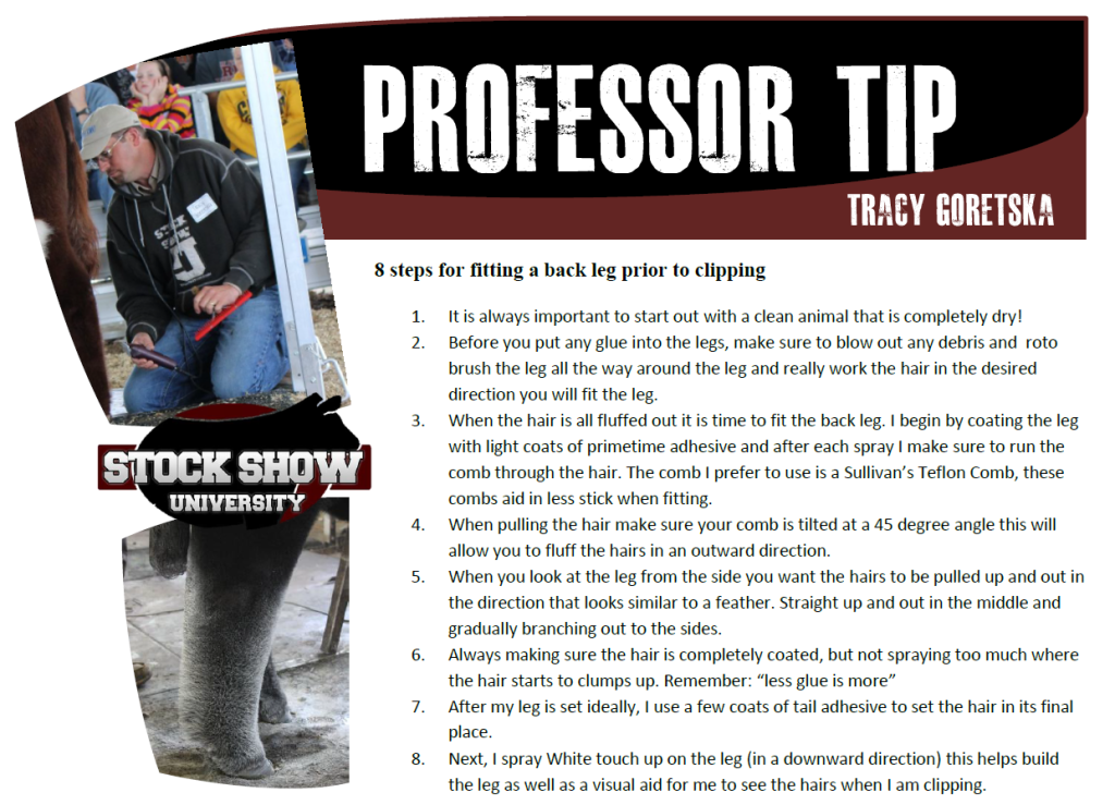 Tracy G Professor tip