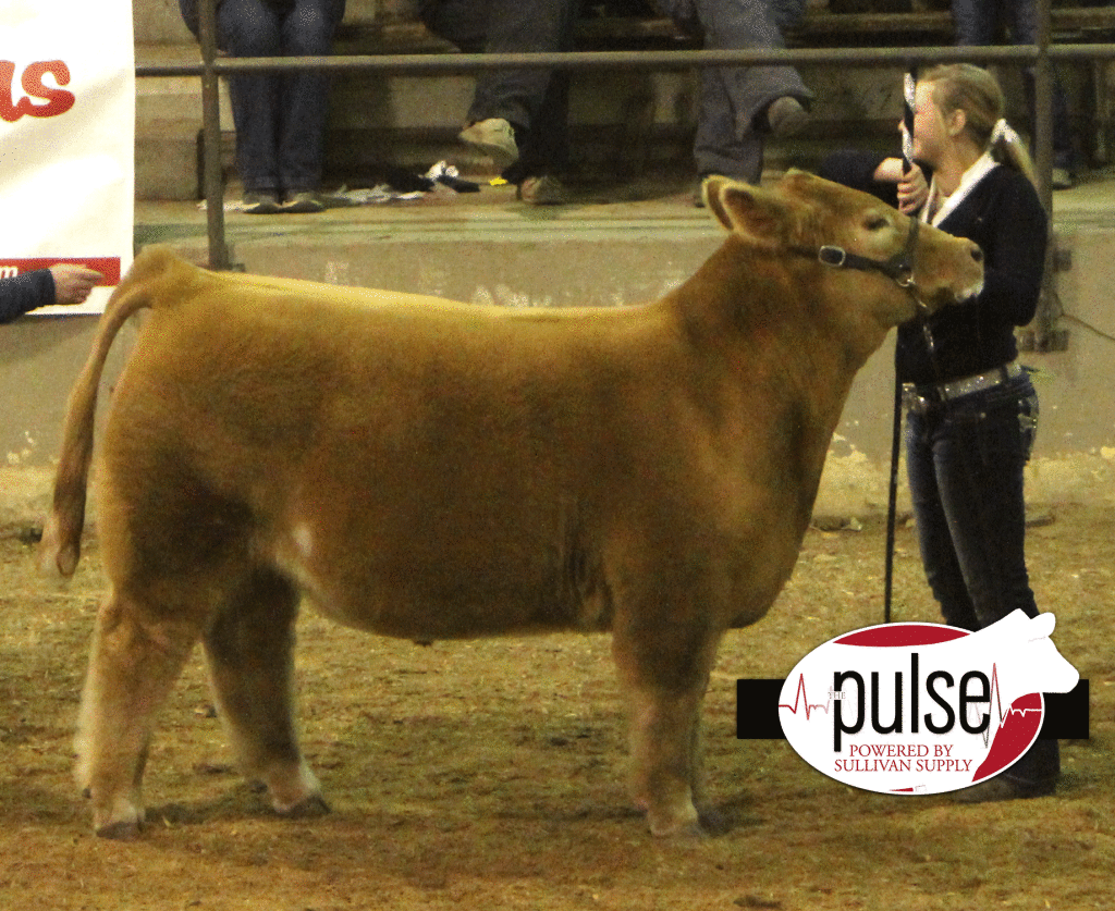 4th-overall-steer