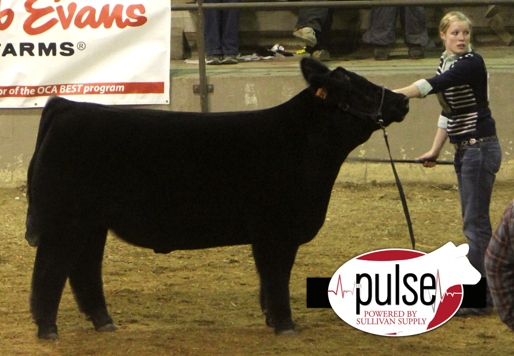 5th-overall-steer