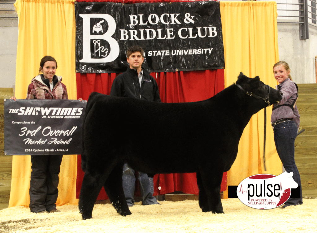 Cyclone-3rd-overall-steer