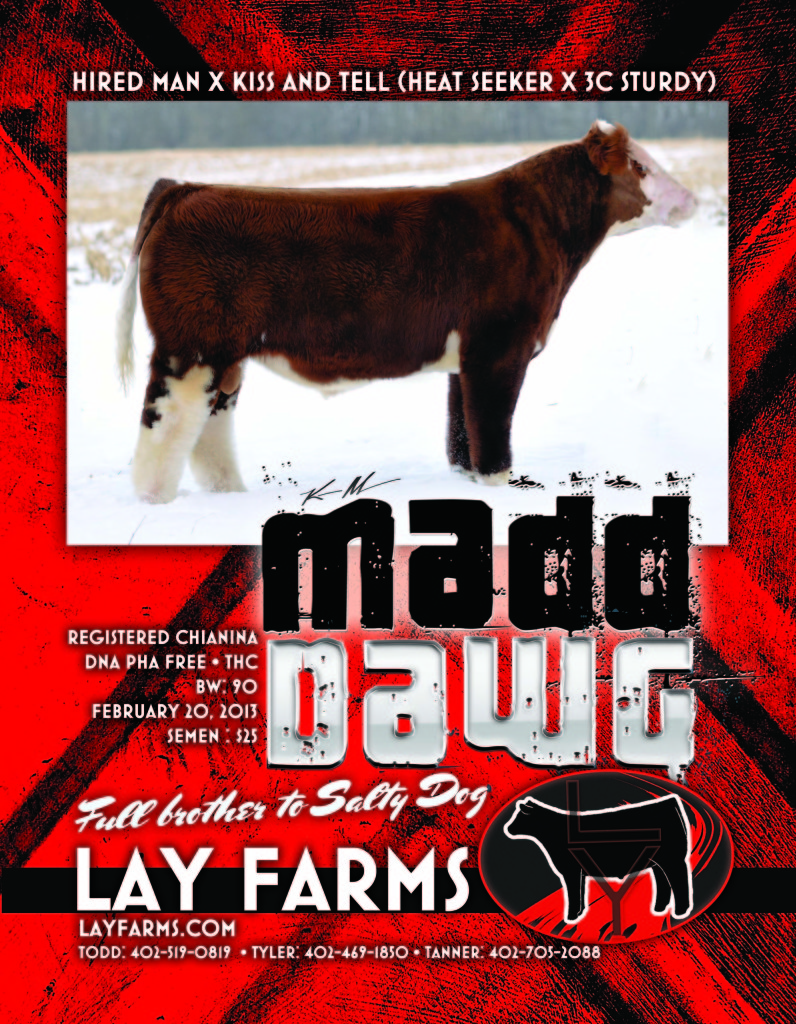 Lay-MaddDawg-March2014-Proof2