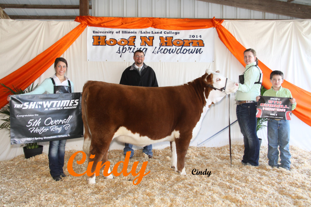 6 5TH OVERALL HFR, (RING B) CH HEREFORD, KORBIN COLLINS
