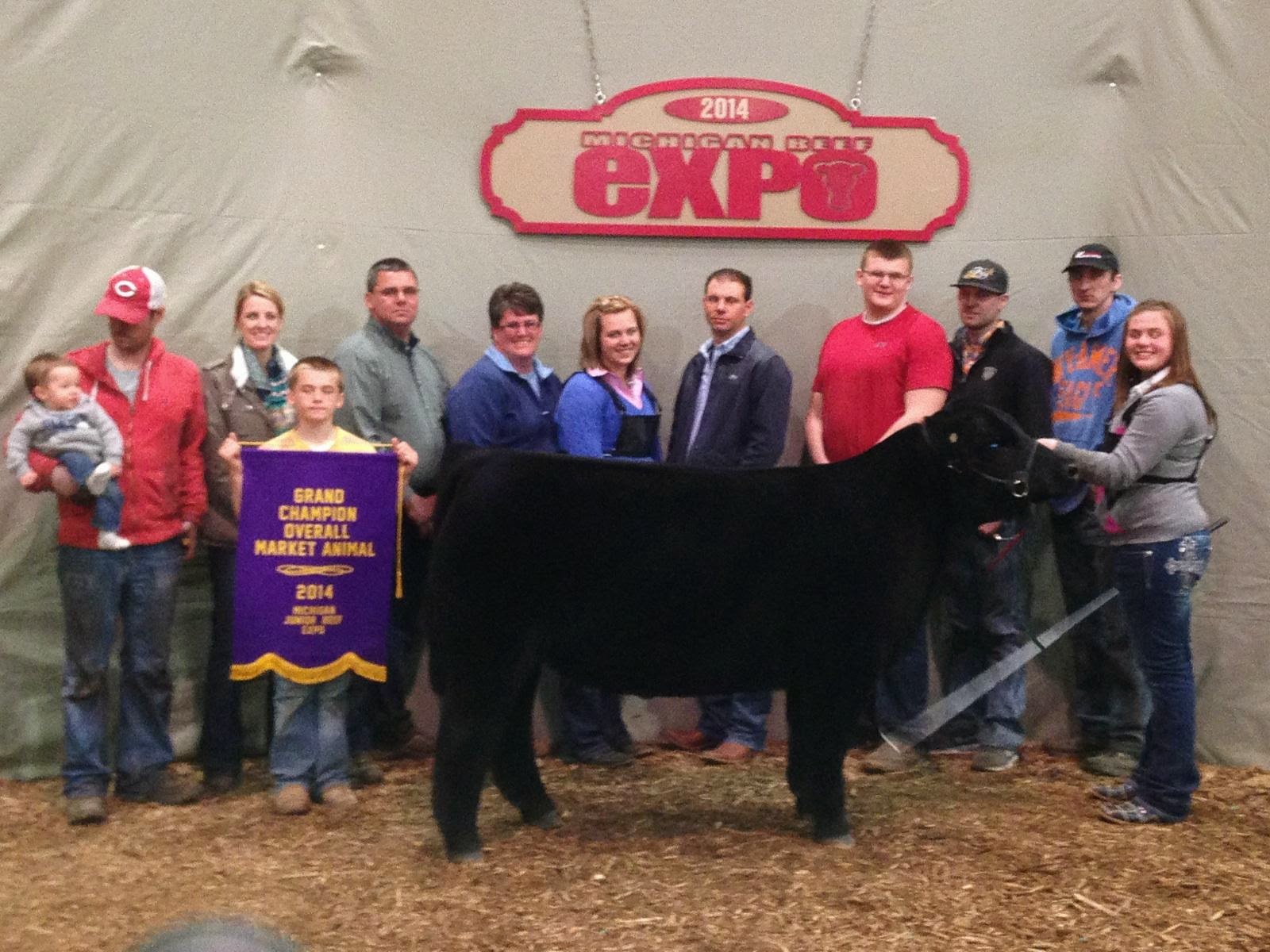 Michigan Beef Expo Steers East Lansing, MI The Pulse