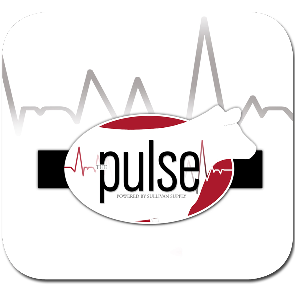 Pulse by isq unreleased