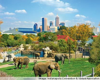 indy zoo