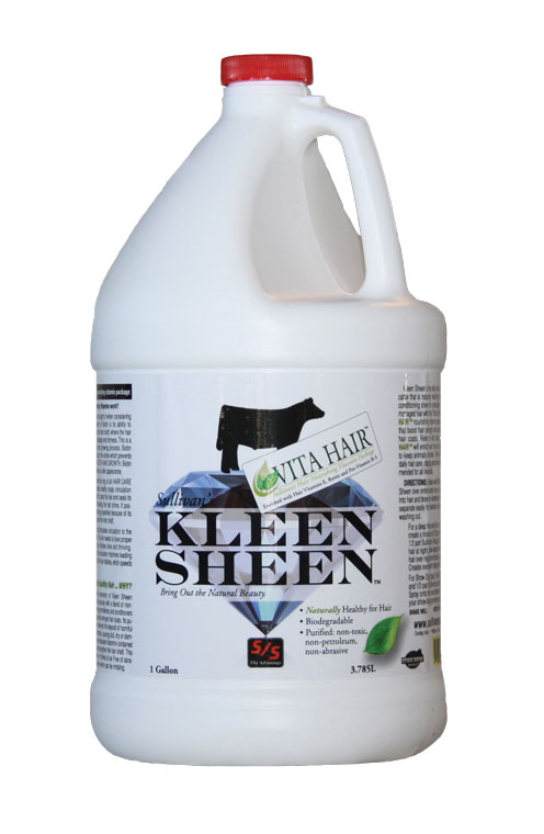 KSG-Kleen-Sheen