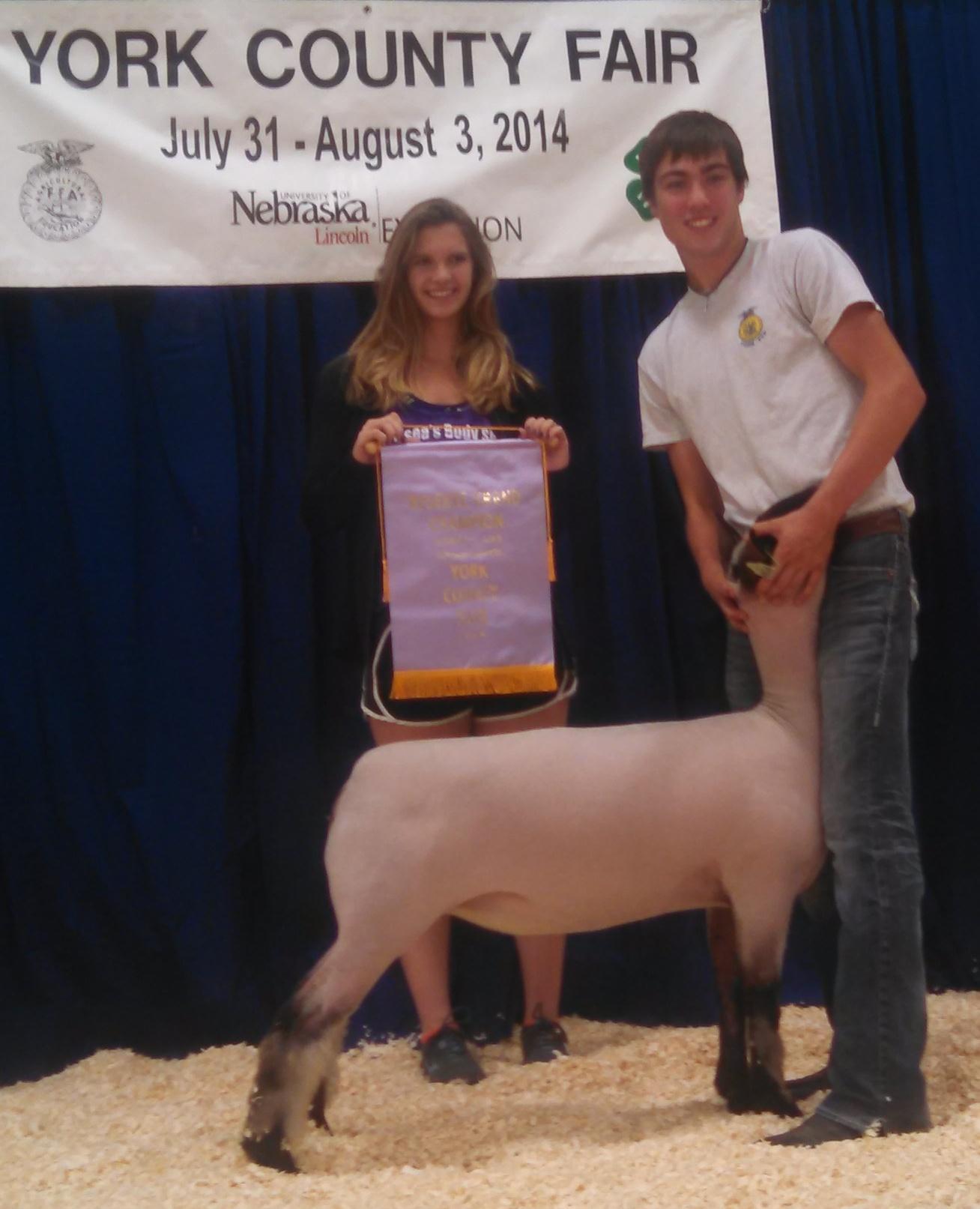 York County Fair Nebraska The Pulse