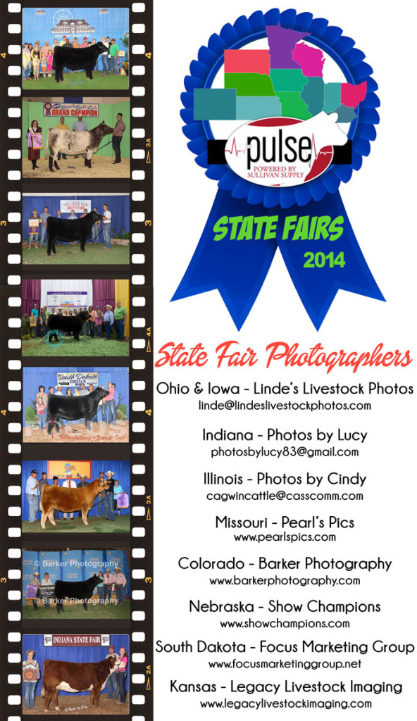 state-fair-photo-graphic