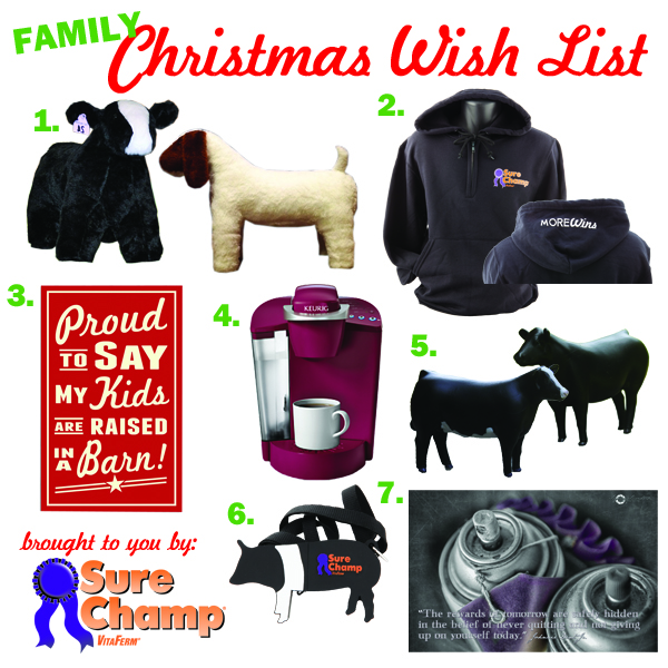 Sure-Champ-Christmas-Wish-List-Everyone