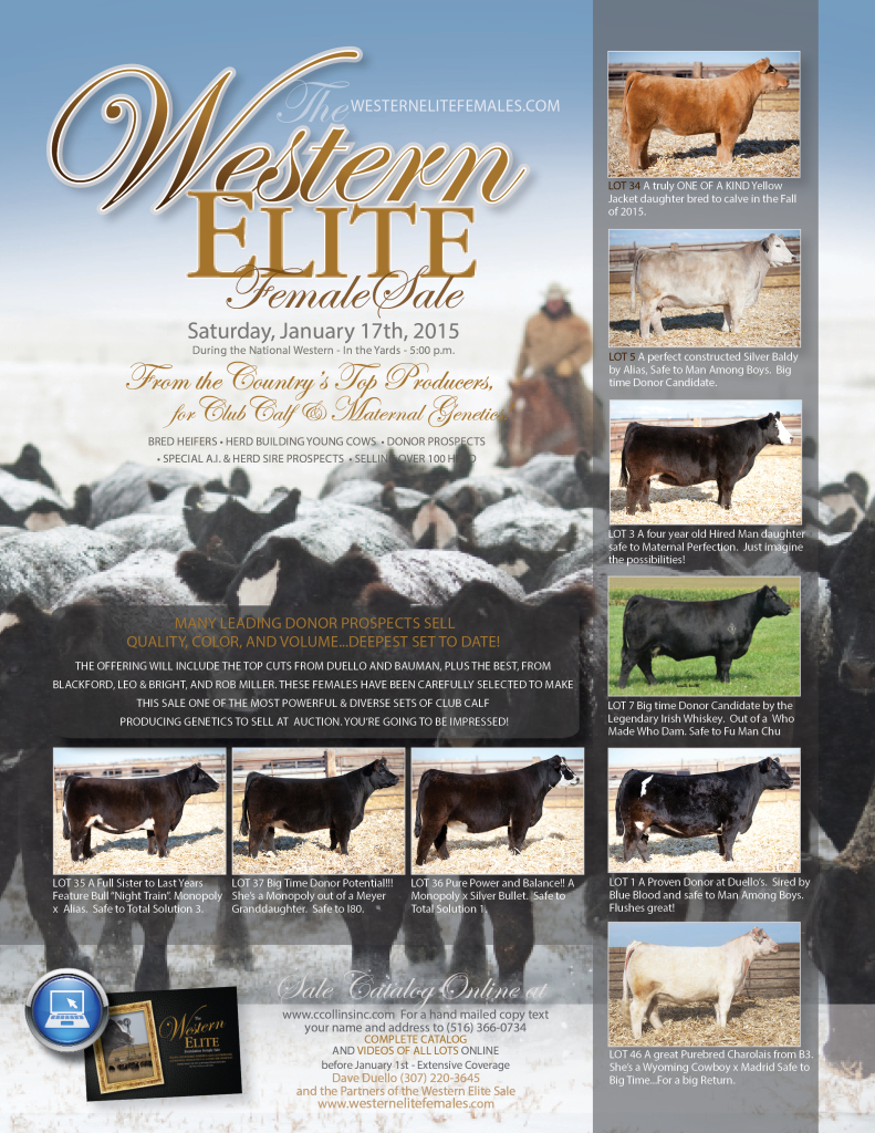 Western Elite Jan 2015 Ad Proof_Showtimes_Show Circuit  FINAL PROOF
