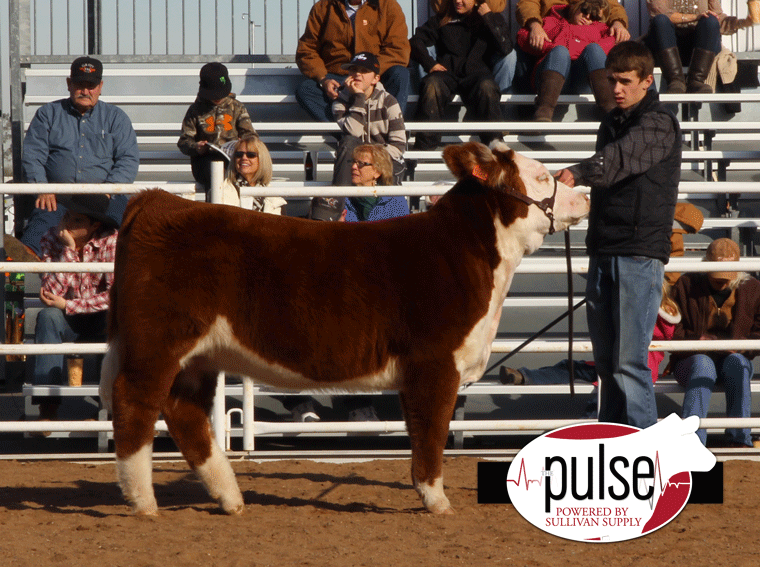 res-jr-hereford