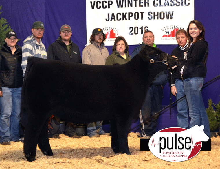 4th_Overall_Ch_Maine_Heifer_DSC_3088