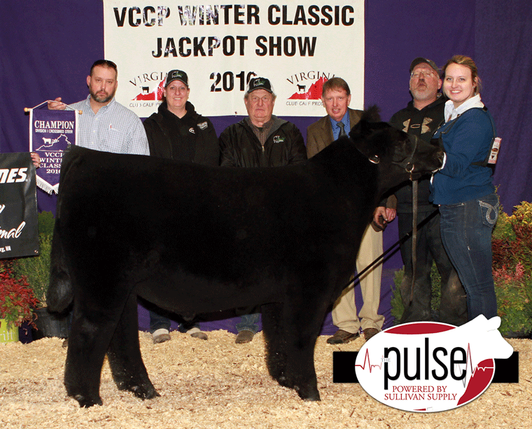 5th_Overall_Ch_Steer_IMG_3319