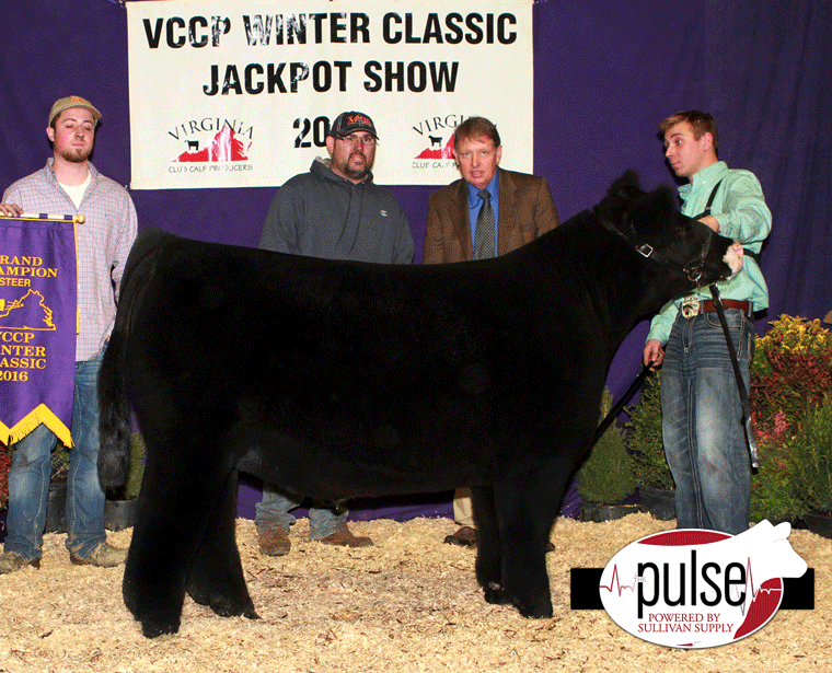 Ch_Overall_Steer_Ch-Div-1-Xbred