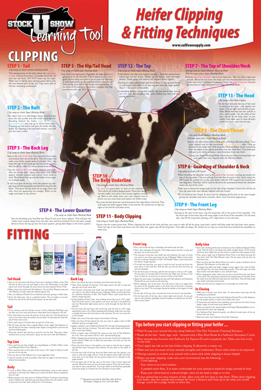 Heifer-Clipping-&-Fitting-Poster