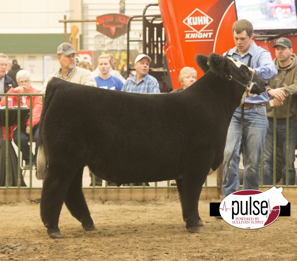 NCC champ simme steer