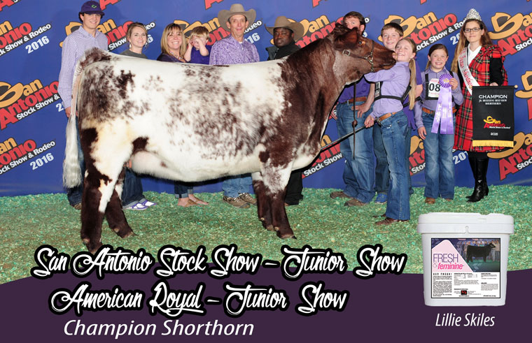 Skiles_Shorthorn_ff_pic_official