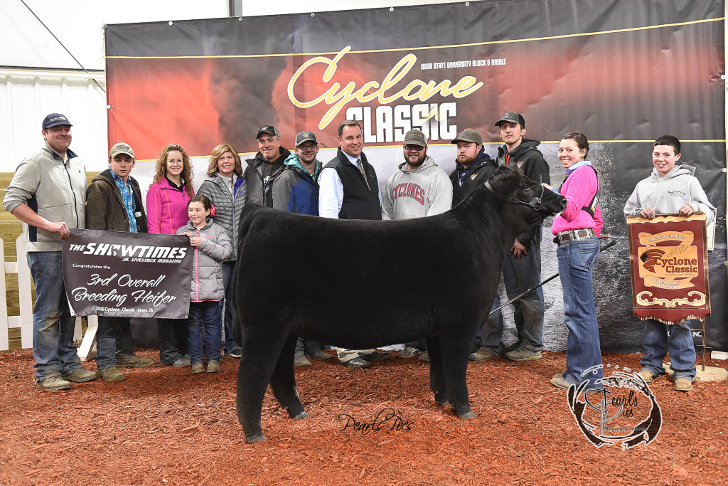 2016 ISU Cyclone Classic 3rd Overall Heifer Champion Champion Commercial exhibited by Brooklyn Curtin PPW3201