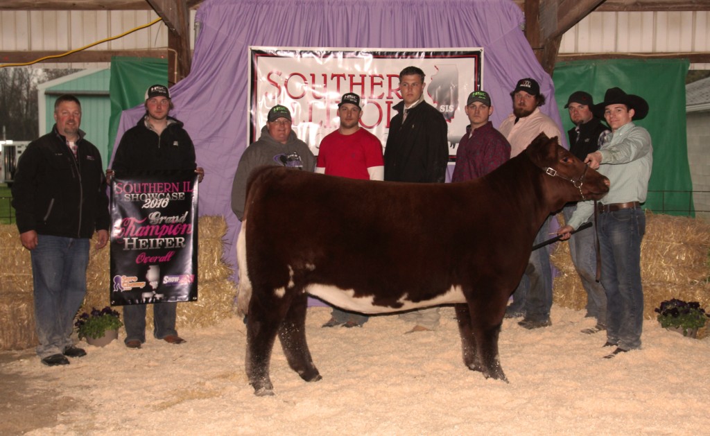 2016 S. Illinois Ch. Shorthorn and Grand Hfr