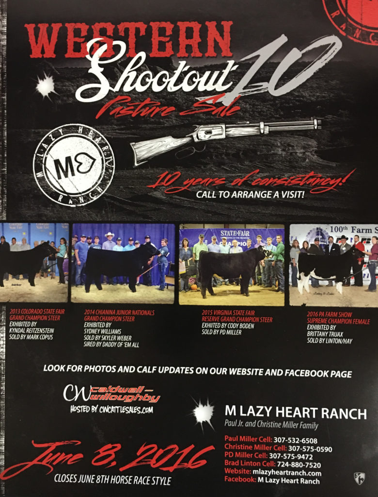 M Lazy Heart Ranch Sale flyer June 2016