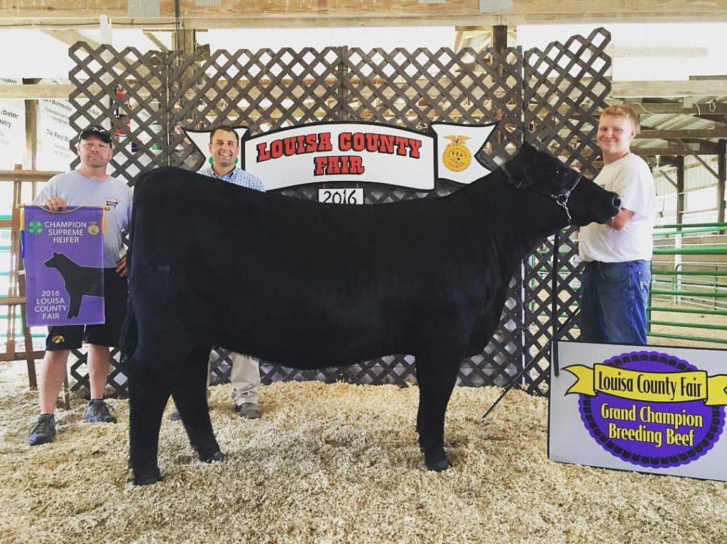 Louisa County Fair Iowa The Pulse