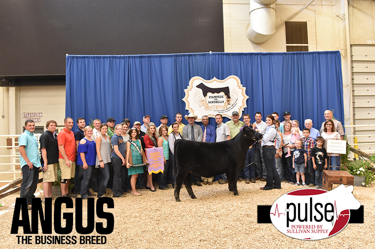 2016 NJAS Reserve Grand Champion Owned Heifer exhibited by Cheyenne Jones PPW2245 copy