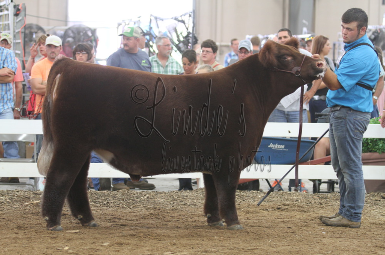 State Fair Of Louisiana Livestock Schedule Semashow