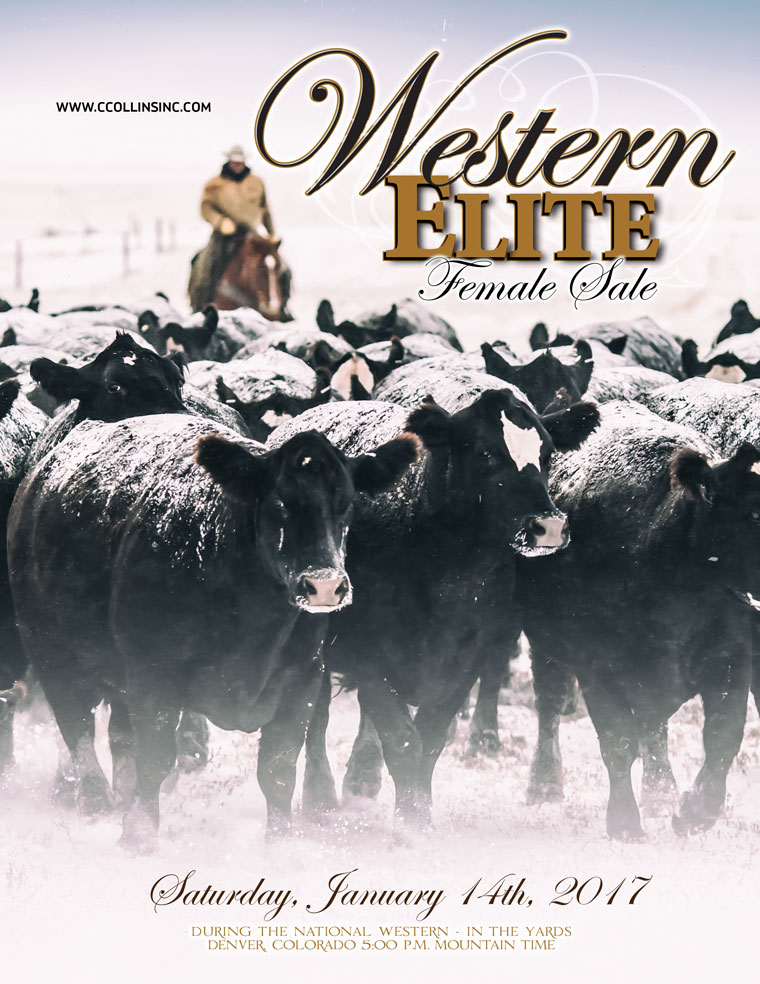 2017-western-elite-catalog_cover