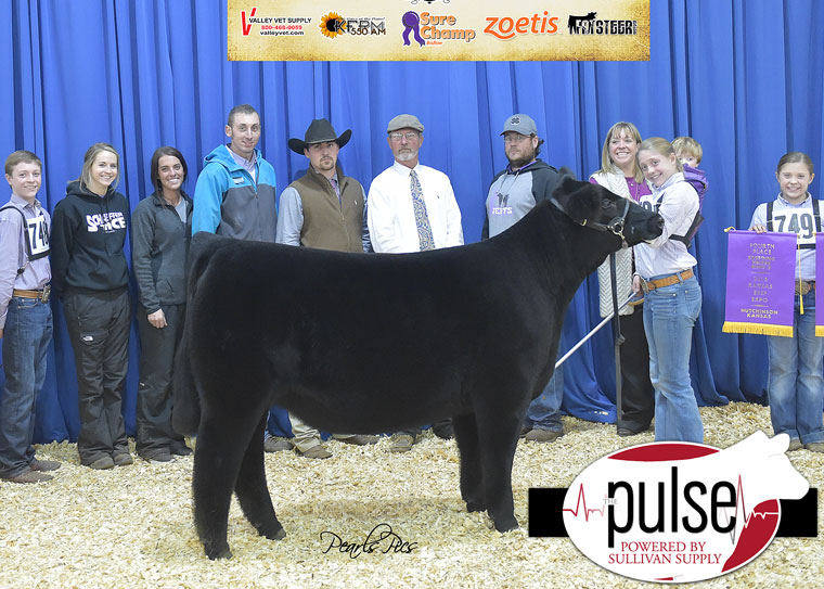 pulse_2016-kbe-3rd-overall-jr-heifer-ring-a-4th-overall-ring-b-commercial-exhibited-by-lille-skiles-ppw3101